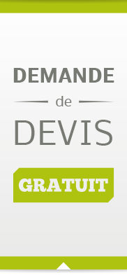 devis référencement